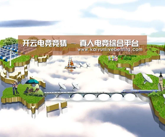 案例展示