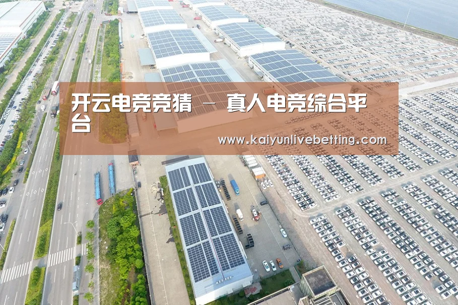 案例展示四